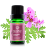 Óleo Essencial Gerânio do Egito 10ml - Terra Flor