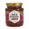 Mel com Romã, Própolis e Eucalipto 290g - Uniflora